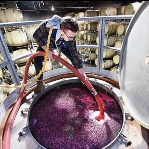 Meet your Posher, Jake